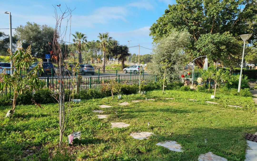 משפחת זוהר "בין העונות"