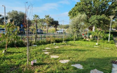 משפחת זוהר "בין העונות"