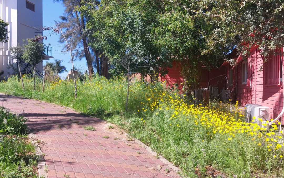 מושב נורדיה